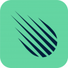 BG-Logo_app_green